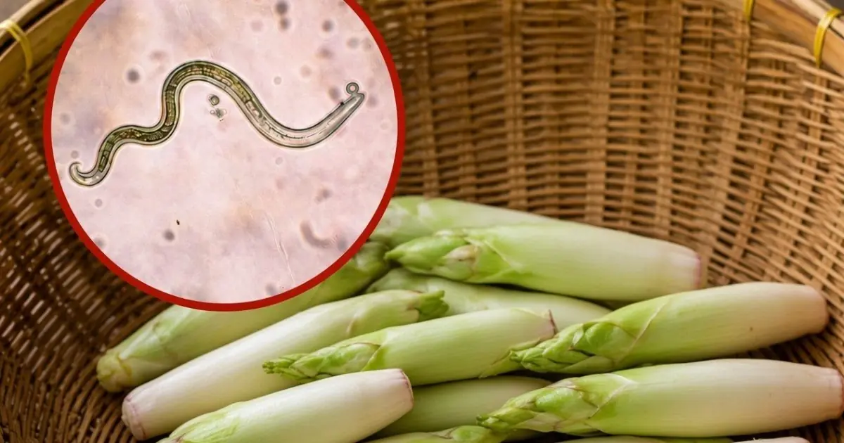 The Truth About Raw Vegetables, Parasites, and Food Safety