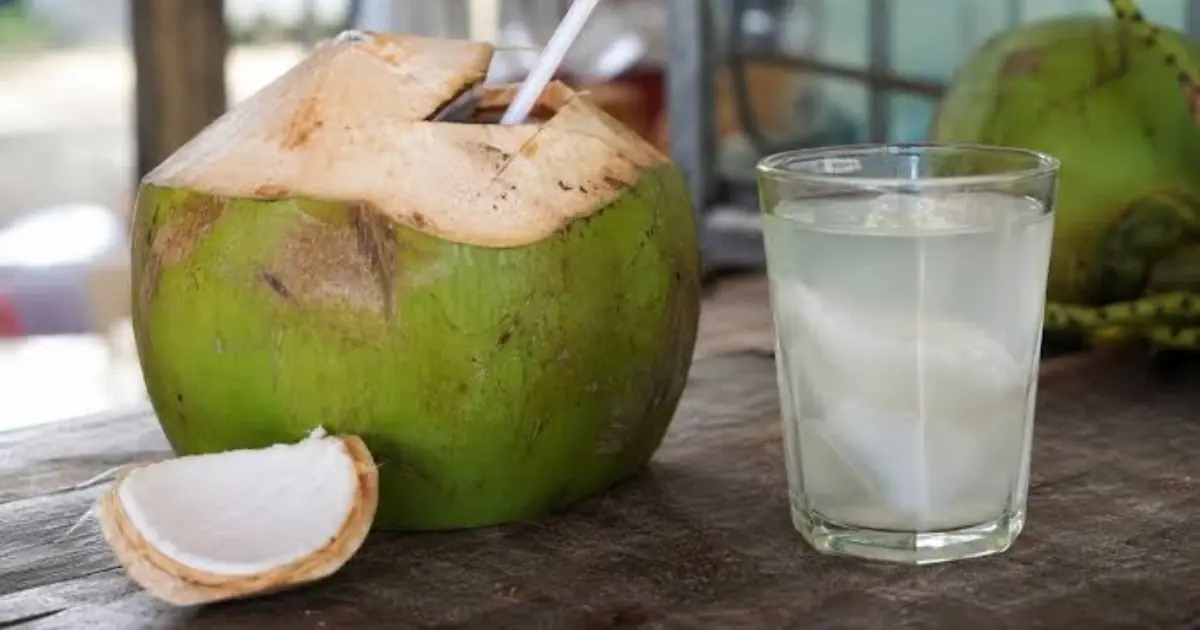 Before You Drink Coconut Water Again, Discover Its Potential Effects on Your Body