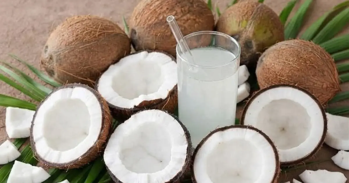 Drinking Too Much Coconut Water May Not Be Right for Everyone — Here’s Why…