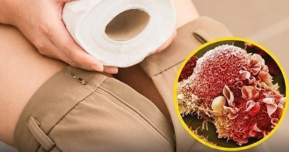 Toilet Paper and Cancer: What the Evidence Really Says About Everyday Bathroom Products