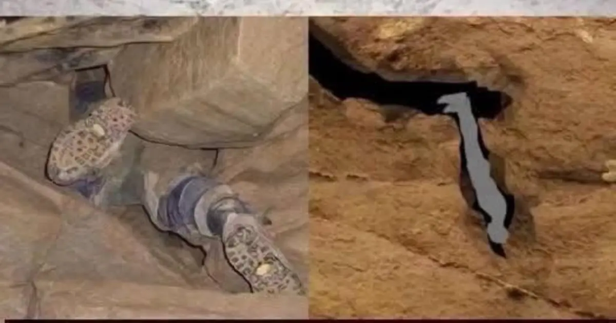 They Found Him Trapped and Rushed to Rescue Him - What Happened Next Was Unforgettable