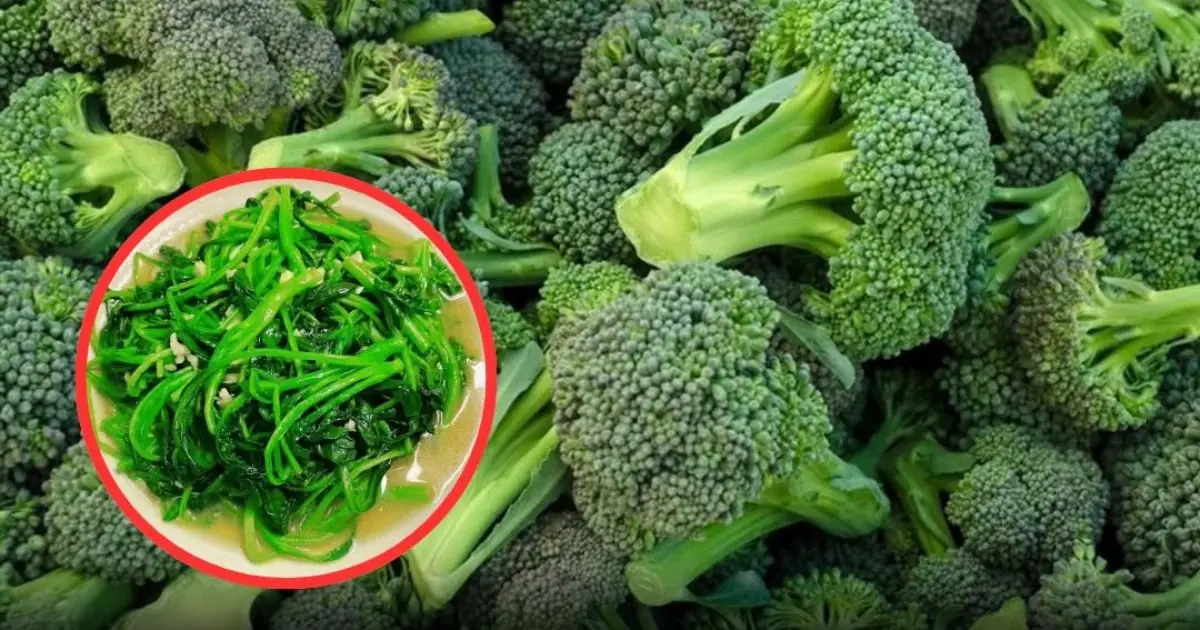 Broccoli and Greens: A Powerful Addition to a Healthy Diet