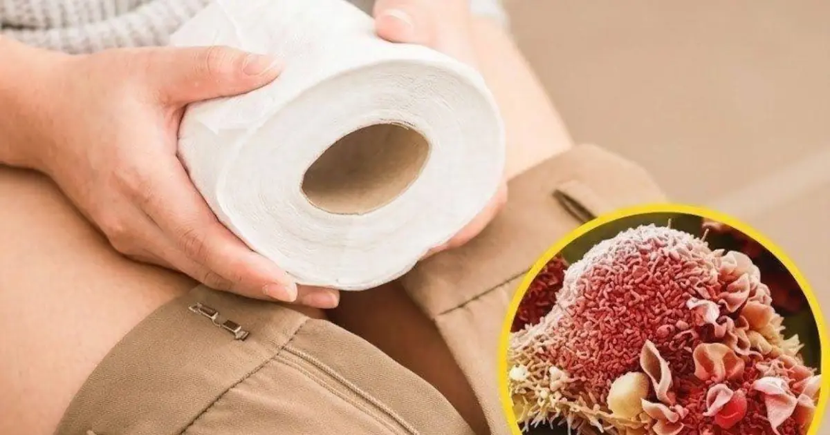 Does Toilet Paper Increase Cancer Risk? What Research Really Says About Chemical Exposure