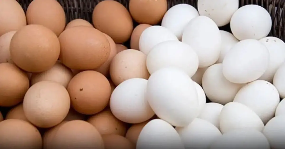 Should you choose brown or white eggs?