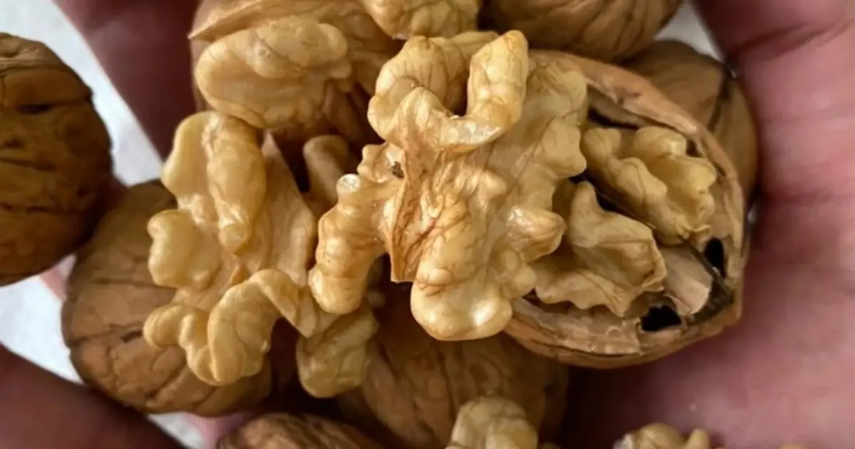 The Surprising Health Effects of Eating Walnuts Daily, According to Doctors