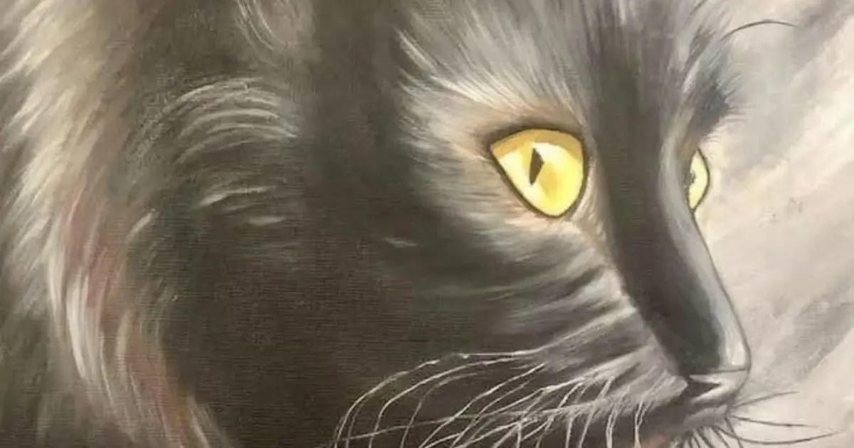 Nostradamus predicted that those who have a cat at home will... See more 👇