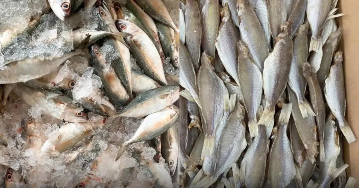 3 quick and effective ways to defrost fish