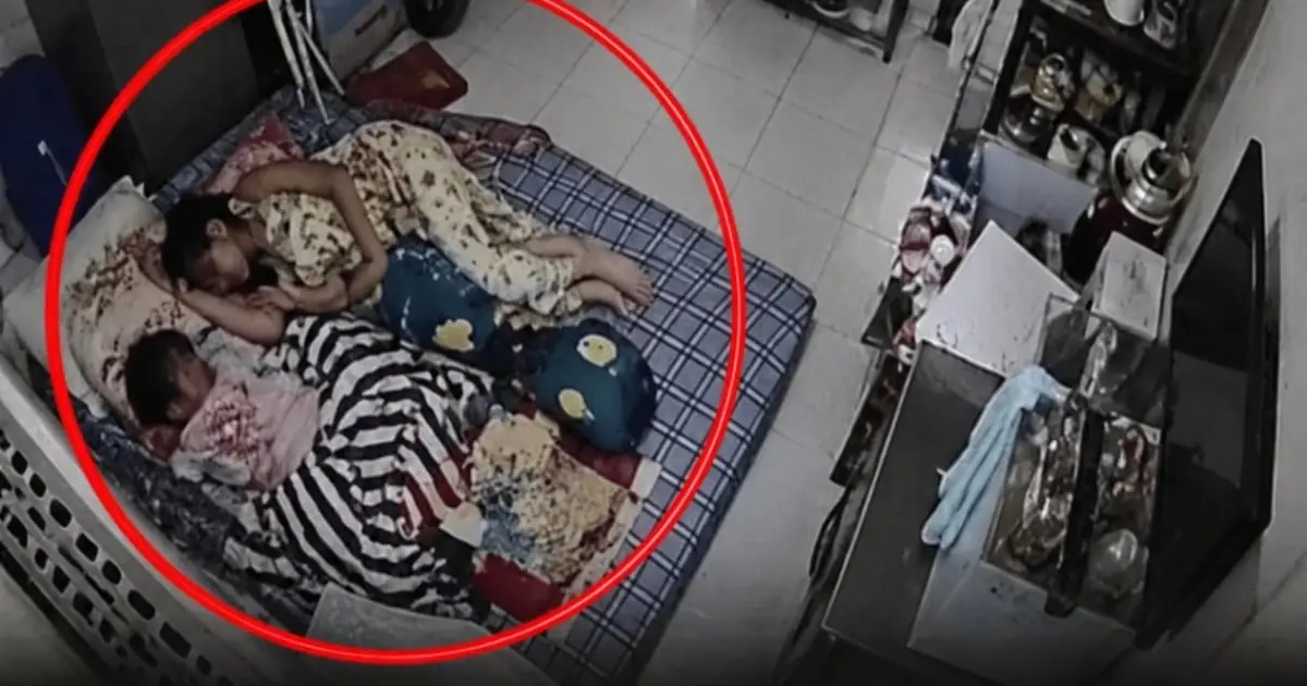 Napping in the Afternoon, They Woke Up in Shock! What the Camera Captured Left the Husband and Wife Speechless
