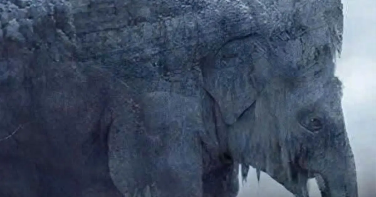 Snake or Elephant? This Viral Optical Illusion Claims to Reveal How You See the Future