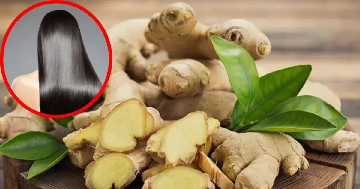 The benefits of ginger for hair loss