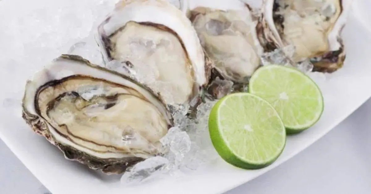 6 groups of people should not eat oysters