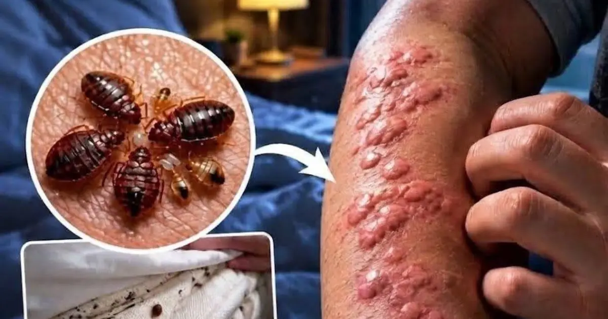 These Are the Consequences of Sleeping with... See More