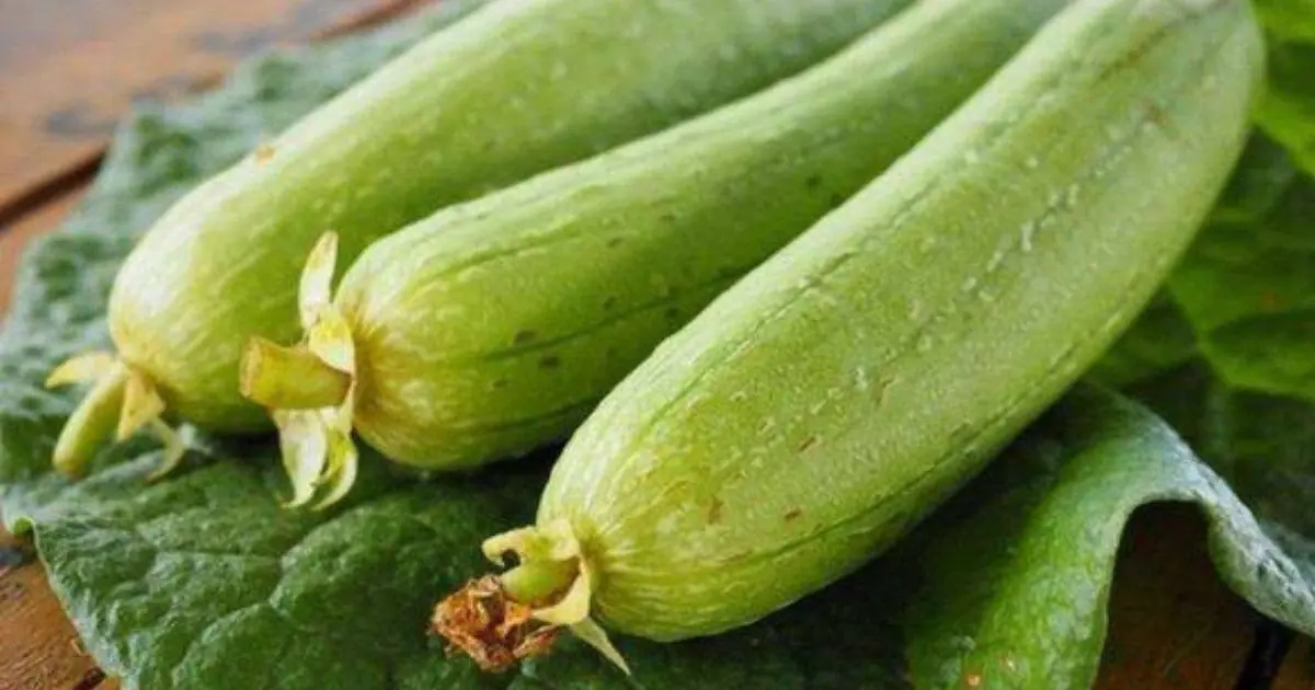 Foods to avoid pairing with luffa