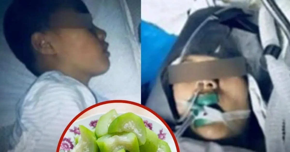Doctors Warn This “Bitter Vegetable” May Be More Toxic Than Arsenic If Eaten Incorrectly