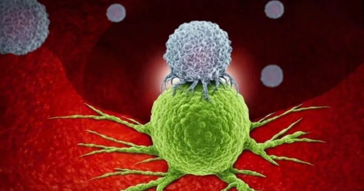 7 anti-can.cer foods you probably don’t know about
