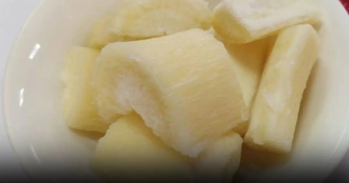 Over 200 People Are Killed By The “World’s Deadliest Food” Every Year