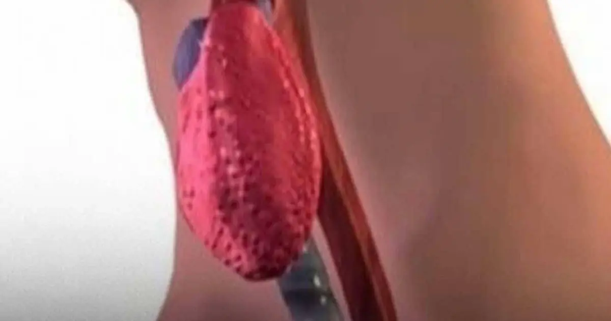 Foods That May Harm Your Thyroid Health