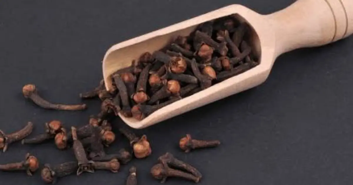 Why Cloves Deserve a Place in Every Woman’s Wellness Routine?