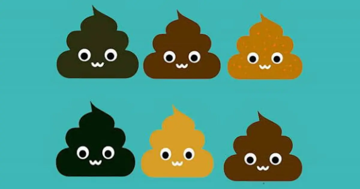 What Your Stool Color Says About Your Health: Signs You Should Know