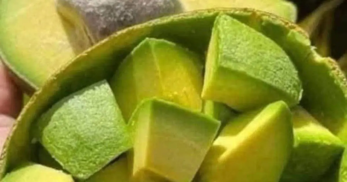 Doctors reveal that eating avocados causes… see more
