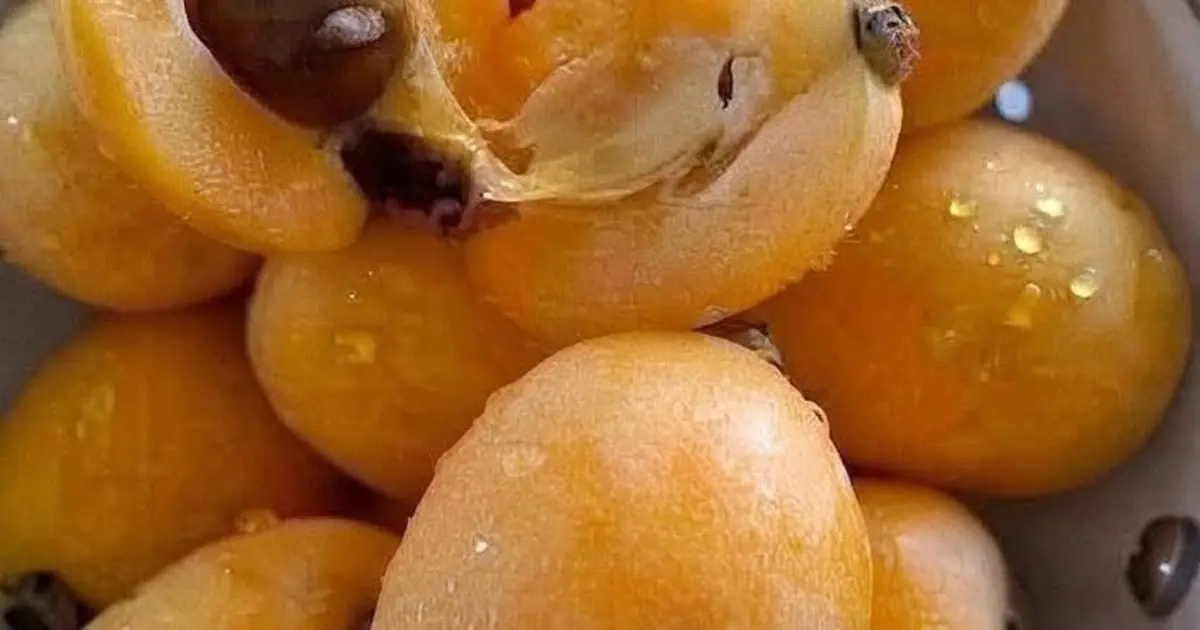 "I've spent my whole life searching for the name of this fruit