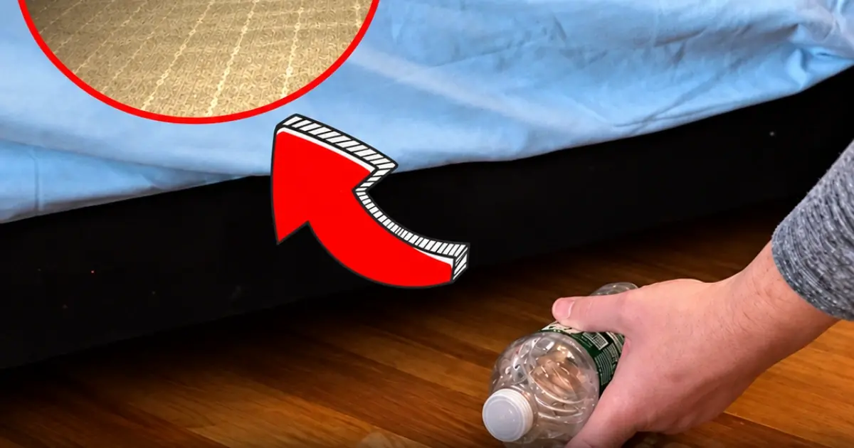 The 30-Second Hotel Room Check Every Traveler Should Understand