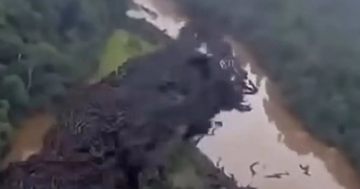 BREAKING NEWS OMG ! Unbelievable footage from the Amazon… See more