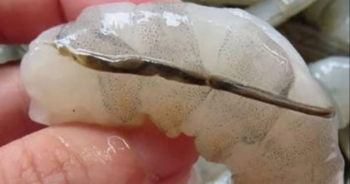 How To Prepare Shrimp and Why You Shouldn’t Eat That ‘Black Vein’