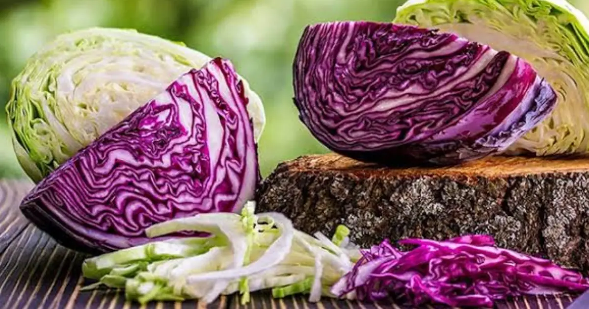Love Eating Cabbage? Here Are 4 Types of People Who Should Be Cautious