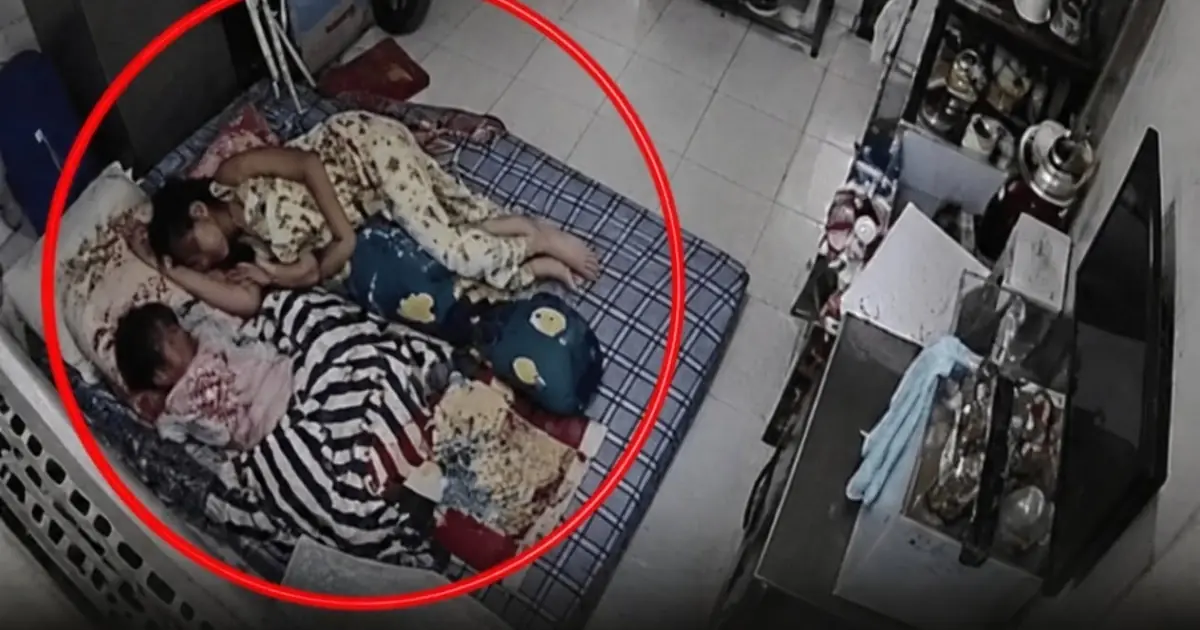 Napping in the Afternoon, They Woke Up in Shock! What the Camera Captured Left the Husband and Wife Speechless