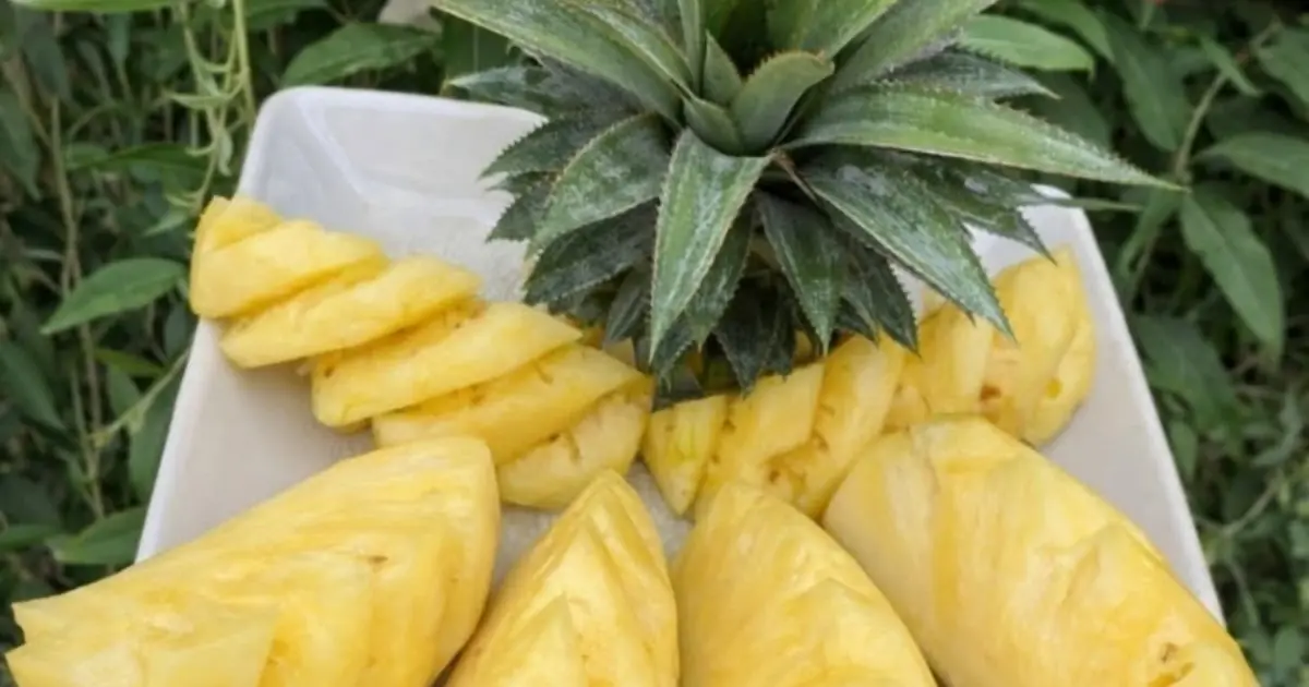 What happens if you start eating one cup of pineapple every day?