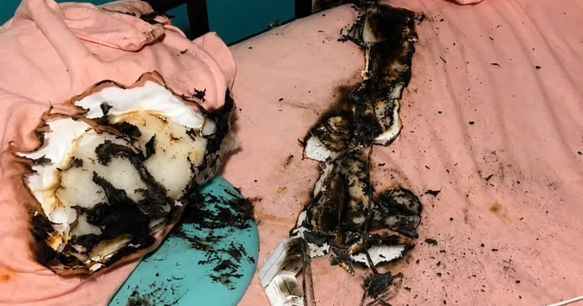 Firefighters Warn People About The Dangers Of Sleeping With A Charging Phone: A Critical Safety Message Every Family Needs to Hear