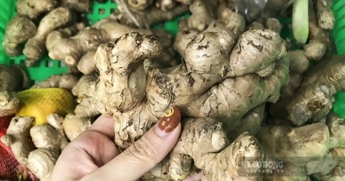 Eating Ginger Every Day? Here’s What Doctors Want You to Know