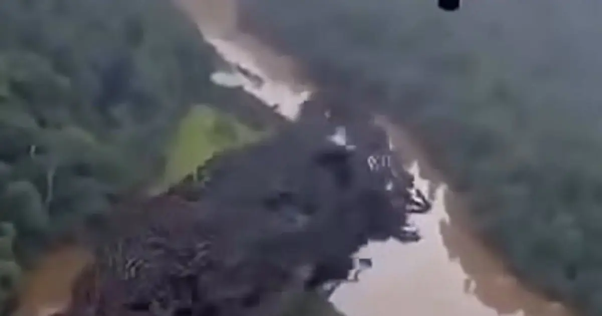 The Dark Shape in This Amazon Video Has People Speculating — Here's What We Actually Know