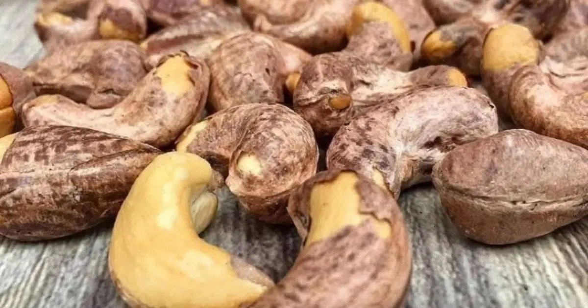 Doctors reveal that eating cashews causes ...See more