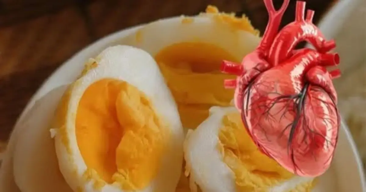 Doctors say eggs can do more inside your body than most people realize…See more