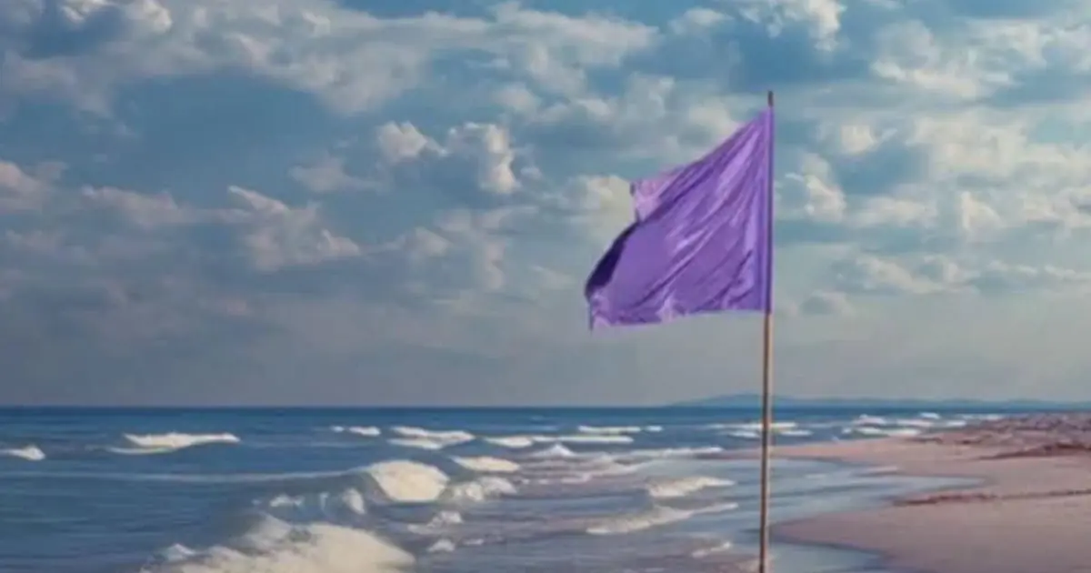 Beach Flags Explained